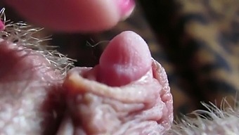 Intense Focus On My Large Clitoris Head Throbbing
