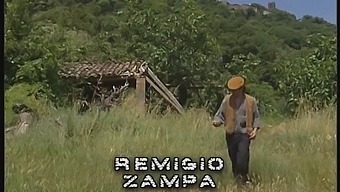 Peníze Za Sex - Film