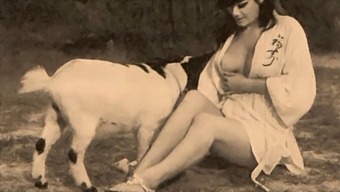 Classic Retro Video Featuring Taboo Sexual Acts With A Dog And A Woman
